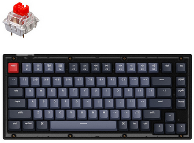 Клавиатура механическая Keychron V1 84Key, Gateron G PRO Red, USB-A, Hot-Swap, QMK, EN/UKR, RGB, Frosted Black V1A1_KEYCHRON фото