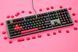 Кейкапи Ducky Rubber ABS прогумовані 31шт, Red DKSA31-USRDRNNO1	 фото 3